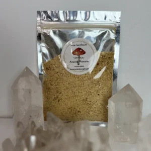 Ancient Mushroom Blend Powder (33g)