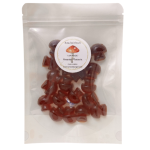 Sugar-Free Vegan Mushroom Gummies 20ct 500mg